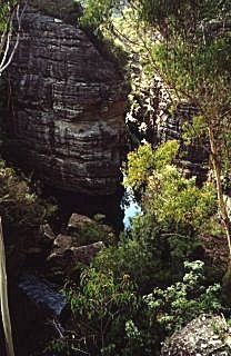 looking down into the Wollangambe