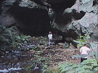 Glow Worm Tunnel Canyon