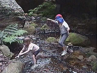 crossing the creek