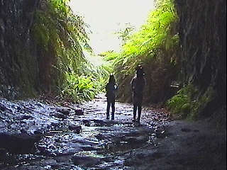 Entering the tunnel