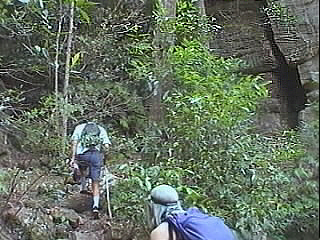 heading up the pipeline track