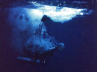 Sue enters the water