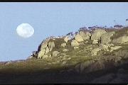 Steph's moon !
